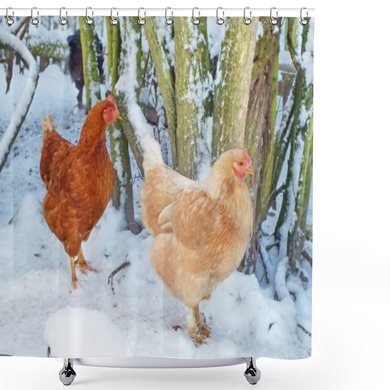 Personality  View Of Beautiful Bird At Nature  Shower Curtains