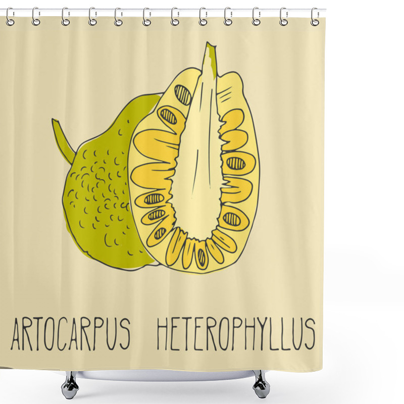 Personality  Hand Drawing Illustration Of Jackfruit. Shower Curtains