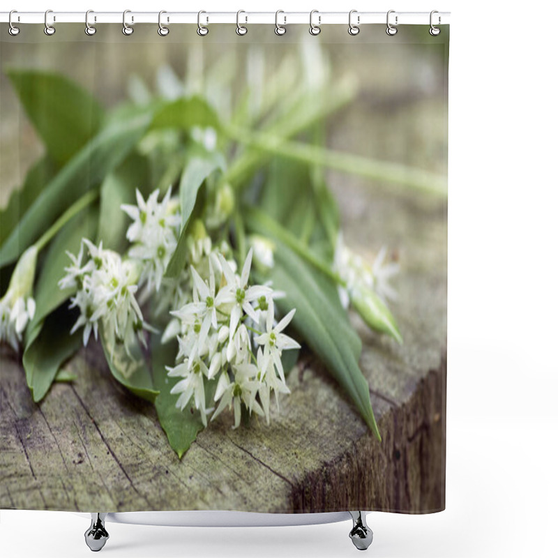 Personality  Bunch Of White Allium Ursinum Herbaceous Flowers And Leaves On Wooden Stump In Hornbeam Forest, Amazing Springtime Bear Garlic Herbs Foliage Shower Curtains