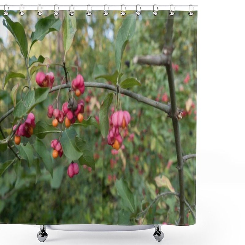 Personality  Beautiful Vivid Botanicak Garden In Autunm Season Shower Curtains