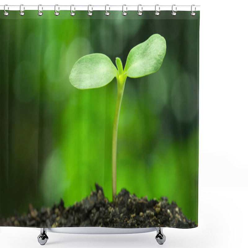 Personality  Sunflower Sprout On Vivid Green Bokeh Background.(horizontal) Shower Curtains