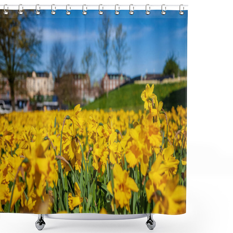 Personality  Close-up View Of Beautiful Blooming Daffodils, Green Lawn And Historical Architecture In Copenhagen, Denmark, Selective Focus Shower Curtains