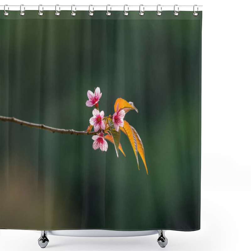 Personality  Beautiful Pink Sakura Shower Curtains