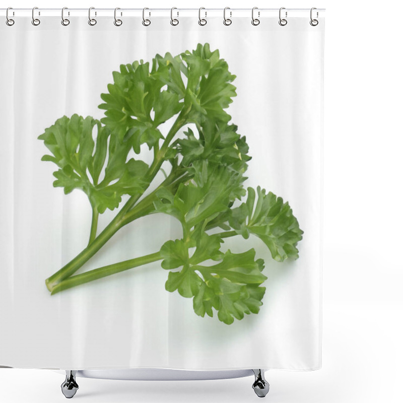 Personality  Parsley Herb Leaf Isolated On White Background Shower Curtains