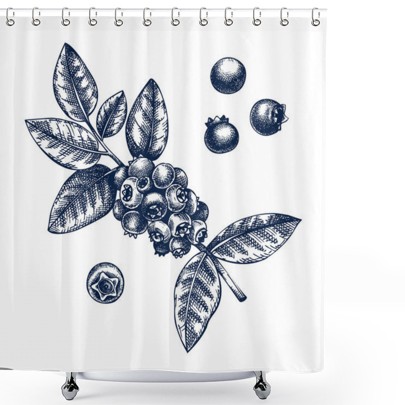 Personality  Hand Drawn Blueberries Vector Illustration In Engraved Style. Wild Berries Isolated On White Background. Hand Drawing. Vintage Garden Berry Sketch. Blueberries Plant Outline. Shower Curtains