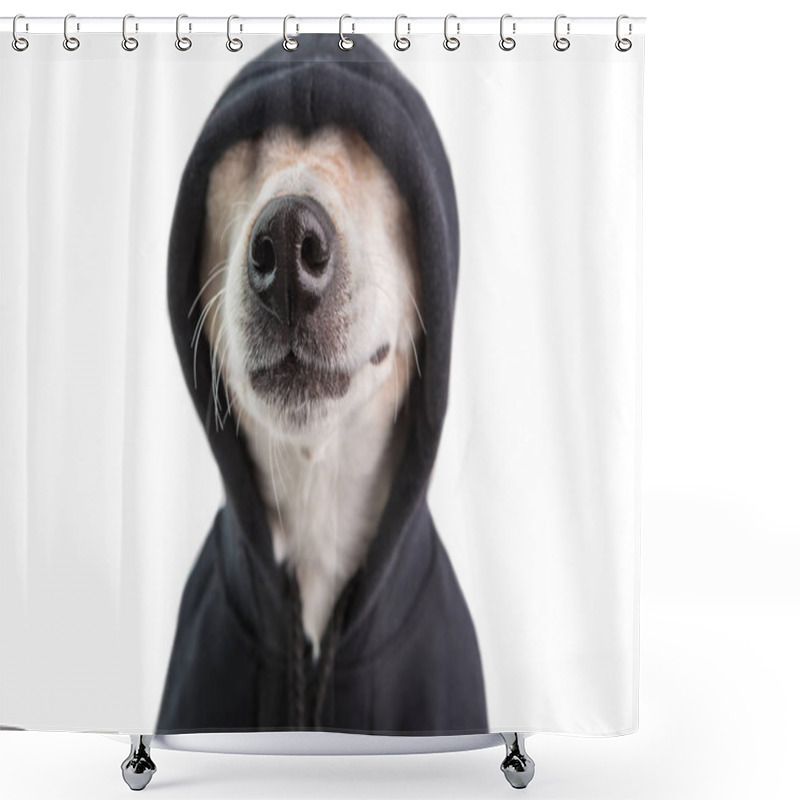 Personality  Adorable Dog Nose In Black Hoodie. Funny Pet Face. Positive Cutie Gangster Style. White Background. Pet Jokes. Skeptical Look Shower Curtains