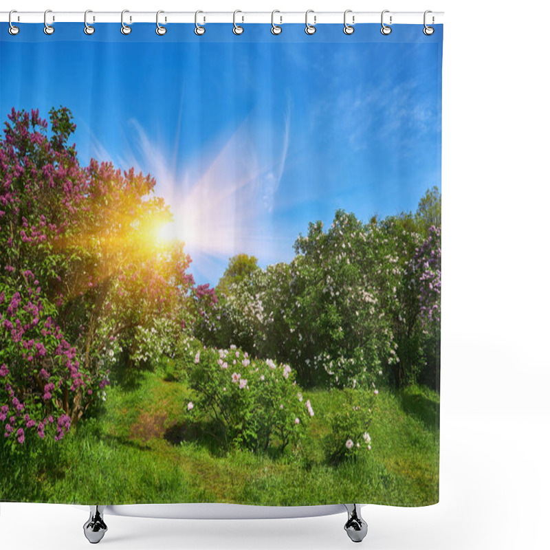 Personality  Sunny Day In Lilac Alley In A Botanical Garden In Europe Shower Curtains