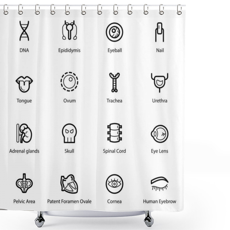 Personality  A Surprising, Compact Pack Of Human Body Organs Is Created Well For Human Anatomy, Biology And Much Needed In The Medical Field. Happy Downloading!  Shower Curtains