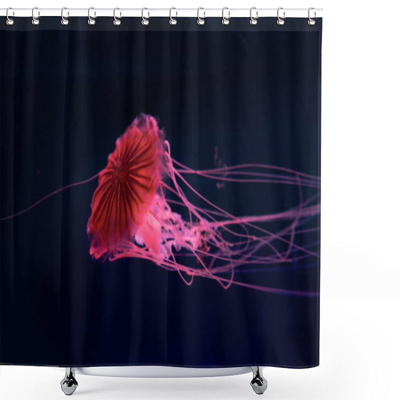 Personality  Compass Jellyfish In Pink Neon Light On Dark Background Shower Curtains