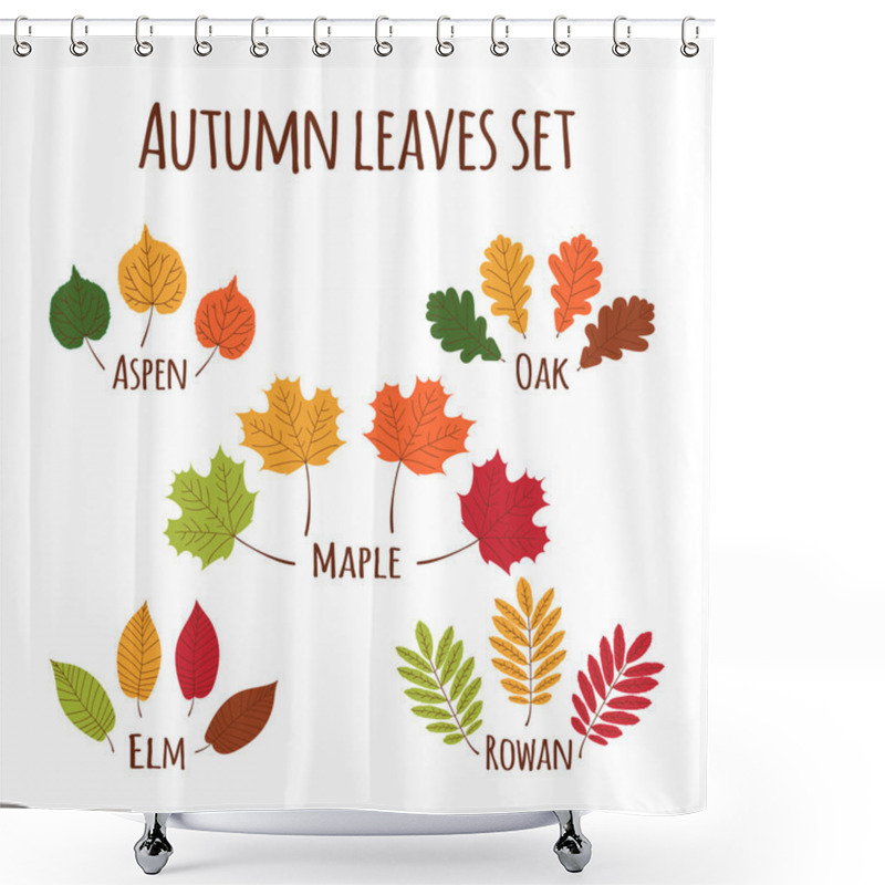 Personality  Autumn Leaves Set Vector. Shower Curtains