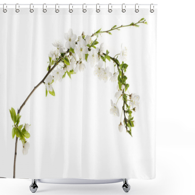 Personality  Greeting Holiday Card With Blooming Flowers Shower Curtains