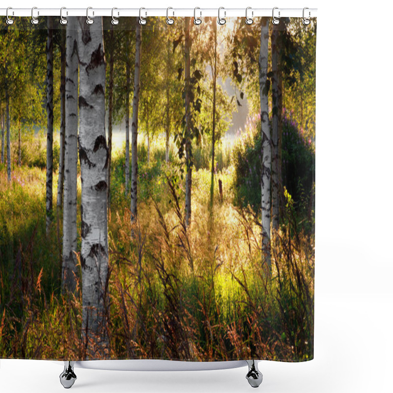 Personality  Birch Trees Shower Curtains