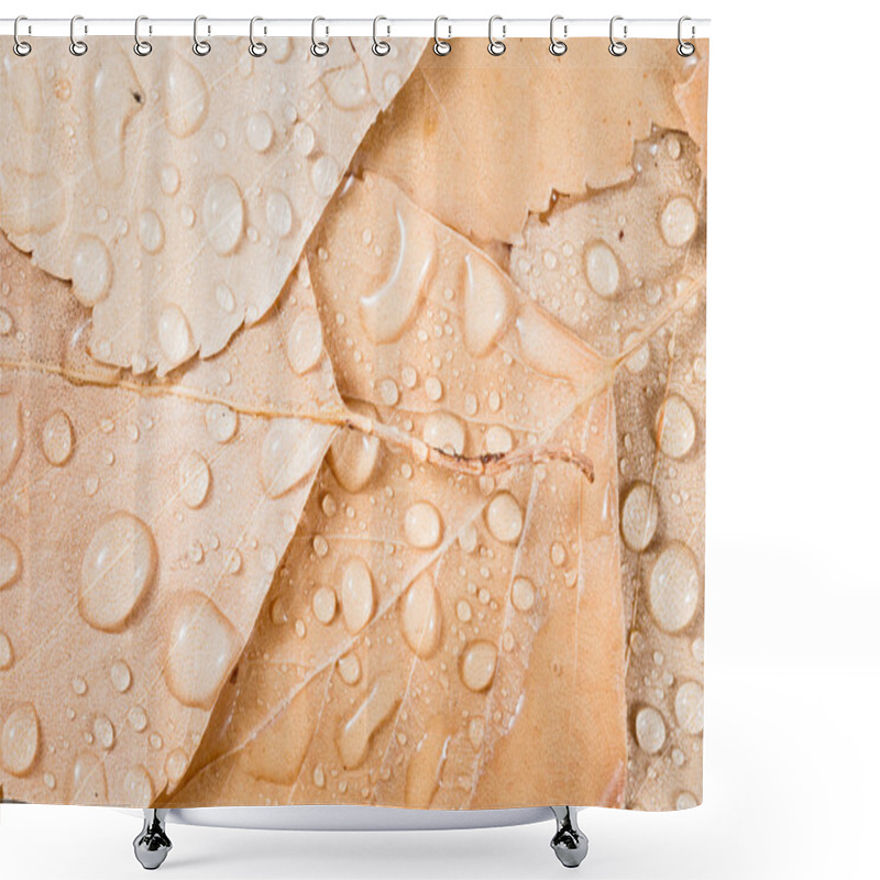 Personality  Background Of Leaves Shower Curtains