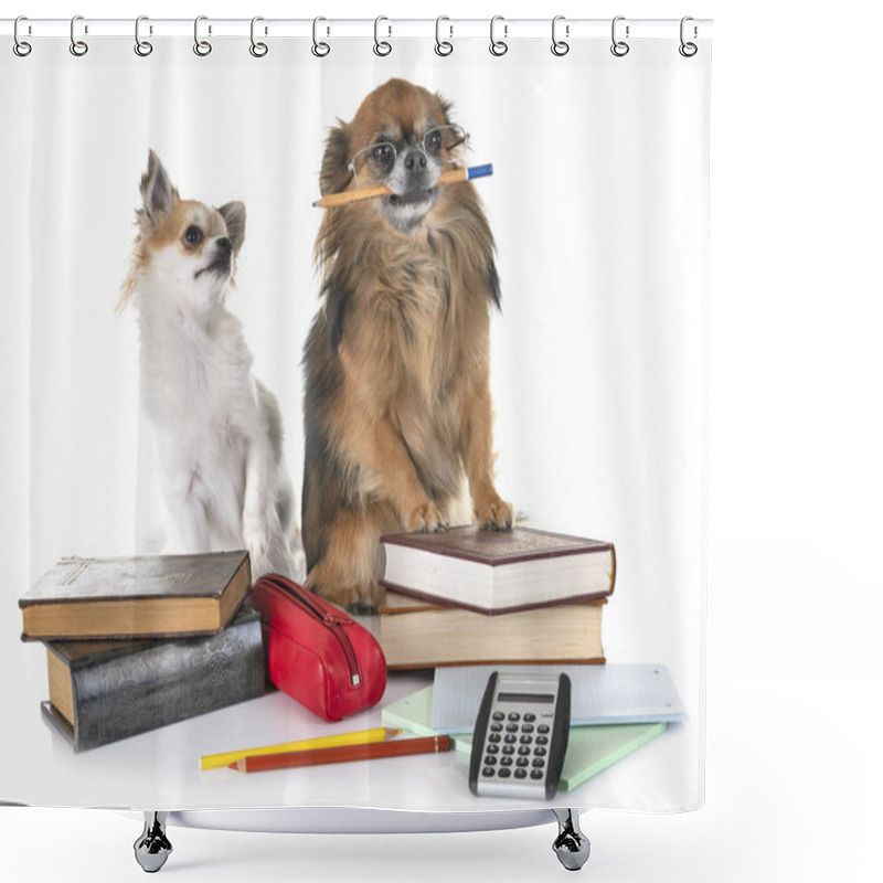 Personality  Little Chihuahuas To School In Front Of White Background Shower Curtains