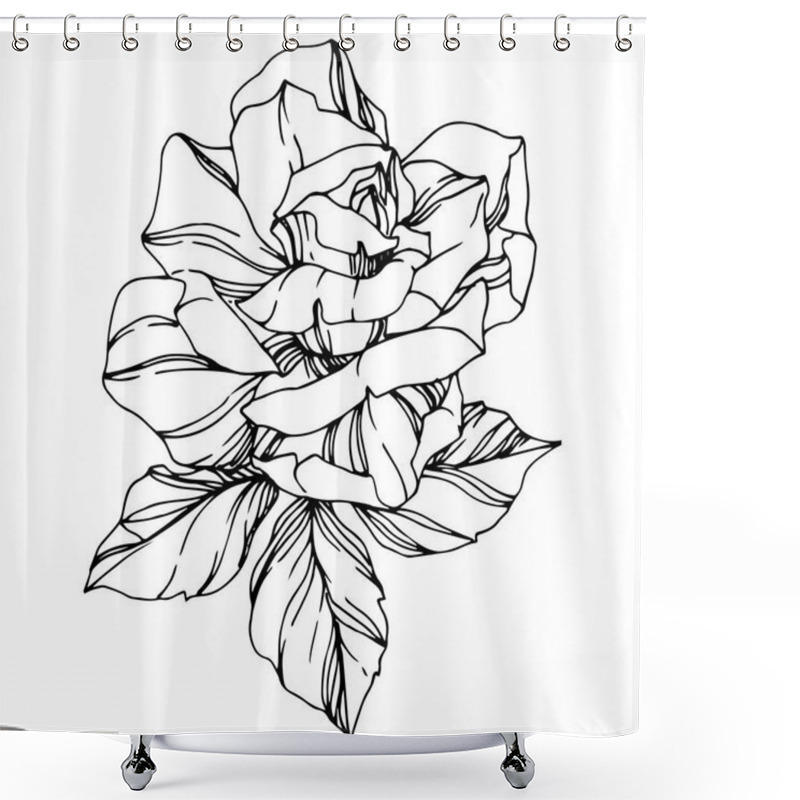 Personality  Vector Rose. Floral Botanical Flower. Engraved Ink Art. Isolated Rose Illustration Element. Beautiful Spring Wildflower Isolated On White. Shower Curtains