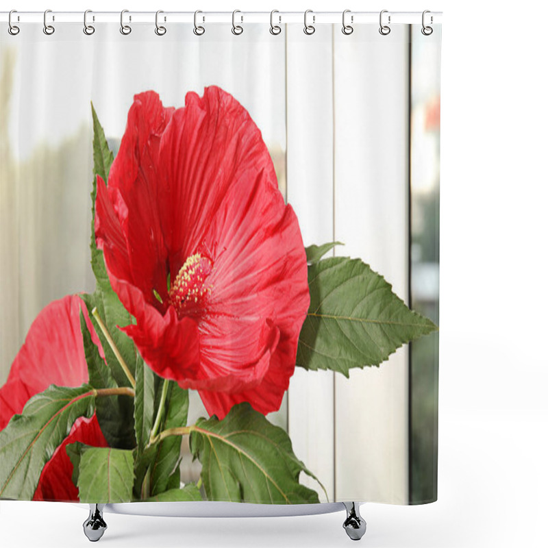 Personality  Beautiful Red Hibiscus Flower Near Window Indoors Shower Curtains