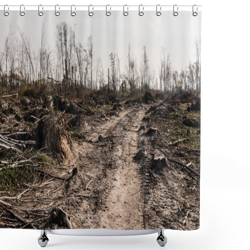 Personality  Dry Twigs And Sticks On Ground Near Path  Shower Curtains