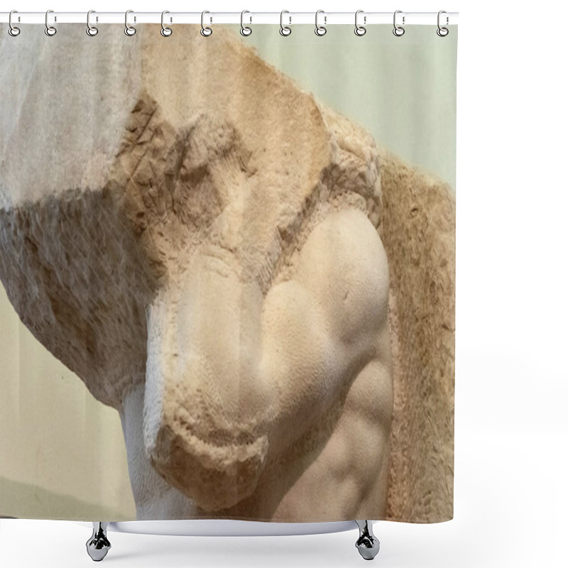 Personality  Sculptures Of The Accademia Gallery, Florence, Italy Shower Curtains