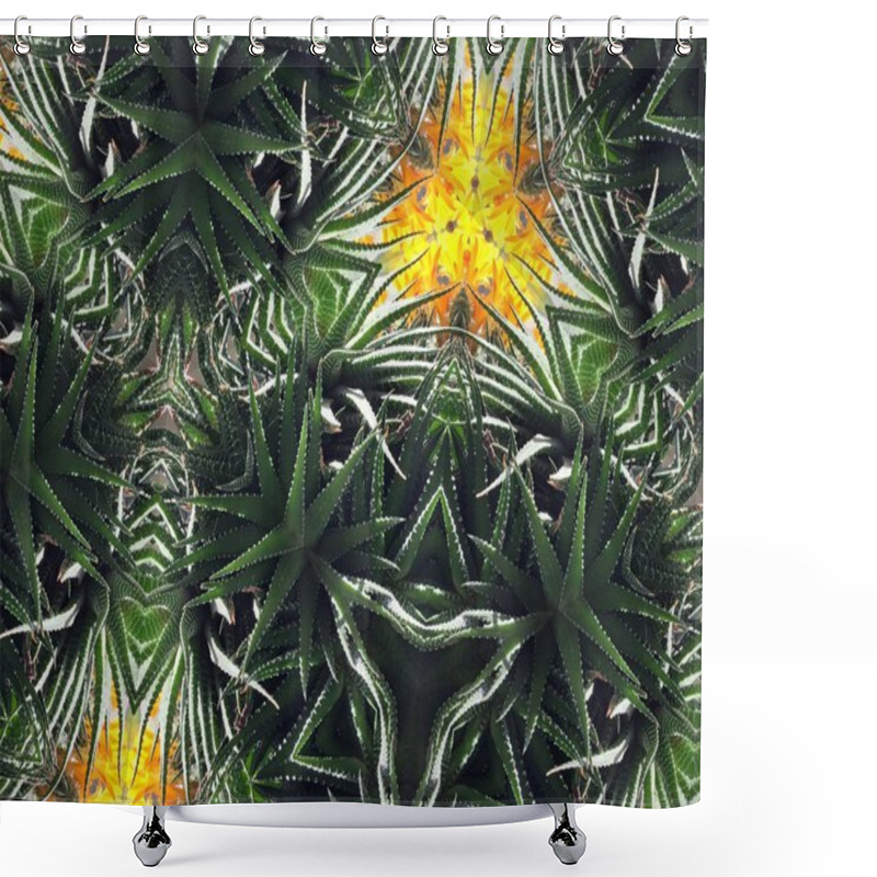 Personality  Kaleidoscope Flower Background Shower Curtains