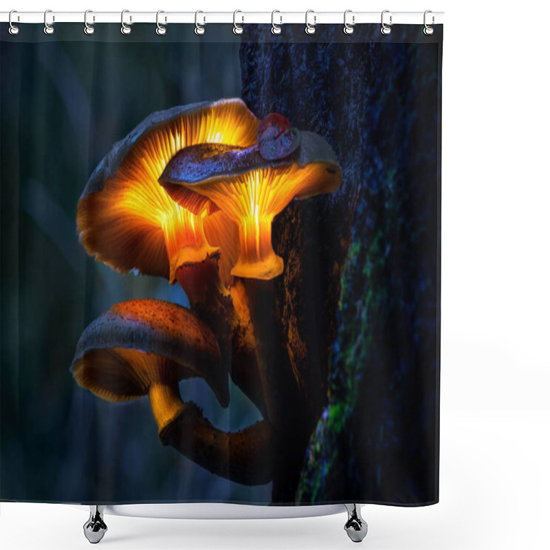 Personality  Glowing Mushrooms In A Dark Forest, Growing On A Stump In A Fantasy Forest, Beautiful Magic Light Of A Mushroom, Macro Photography Shower Curtains