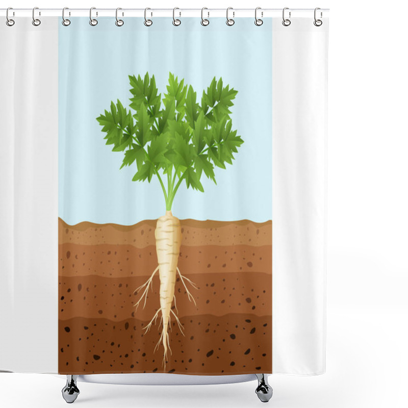 Personality  Vector Illustration Of Parsnip Tree Plant With Roots Shower Curtains