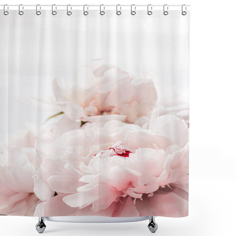 Personality  Bouquet Of Peony Flowers As Luxury Floral Background, Wedding Decoration And Event Branding Shower Curtains