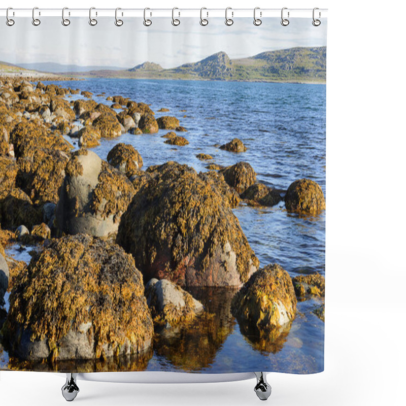 Personality  Stones With Brown Algae At Seacoast Shower Curtains