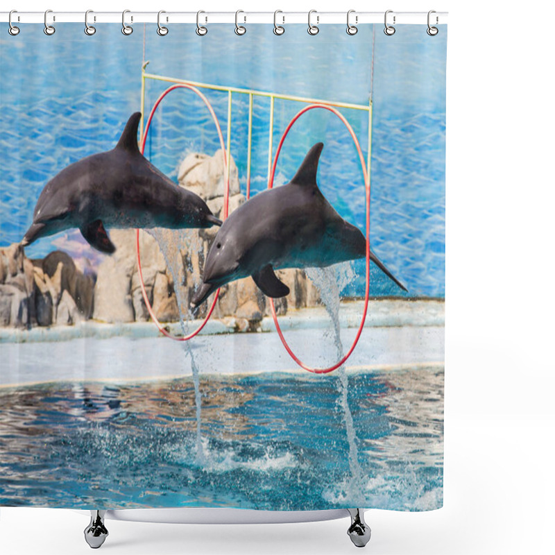 Personality  Dolphins Are Jumping During The Show  Shower Curtains