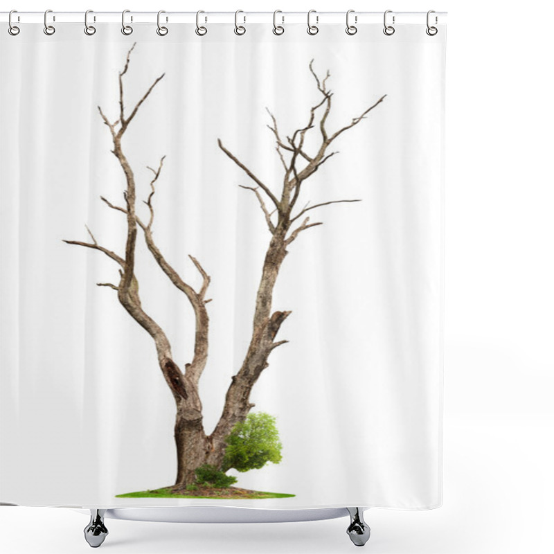 Personality  Old Tree On White Background.Concept Death And Life Revival. Shower Curtains