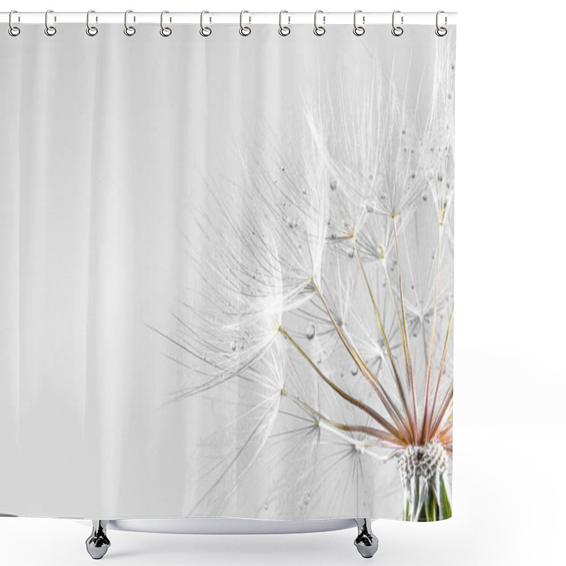 Personality  Dandelion Seeds. Seeds Macro Closeup. Spring Nature Shower Curtains