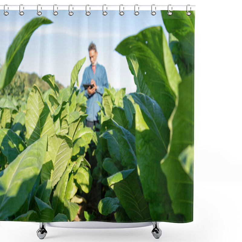 Personality  Farmer Plantation Check Growth Of Tobacco Leaf Take Note To Tablet On Sunshine Morning In Garden Shower Curtains