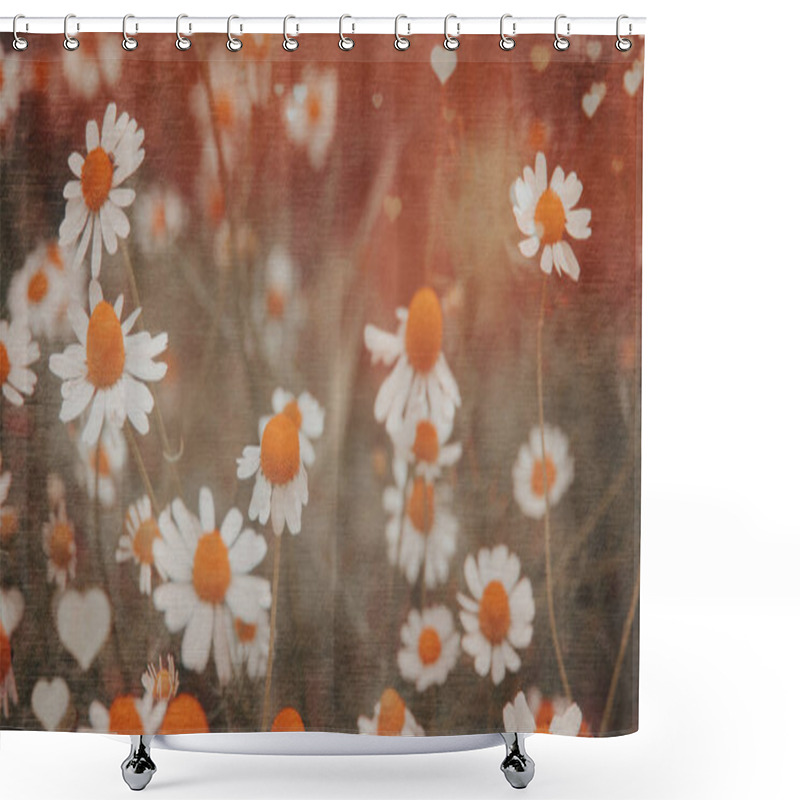 Personality  Summer Meadow, Green Grass Field And Daisy Flowers In Warm Sunlight, Nature Background Concept, Soft Focus, Warm Pastel Tones Shower Curtains