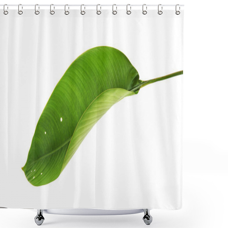 Personality  Strelitzia Reginae, Heliconia, Tropical Leaf, Bird Of Paradise Foliage Isolated On White Background, With Clipping Path                            Shower Curtains