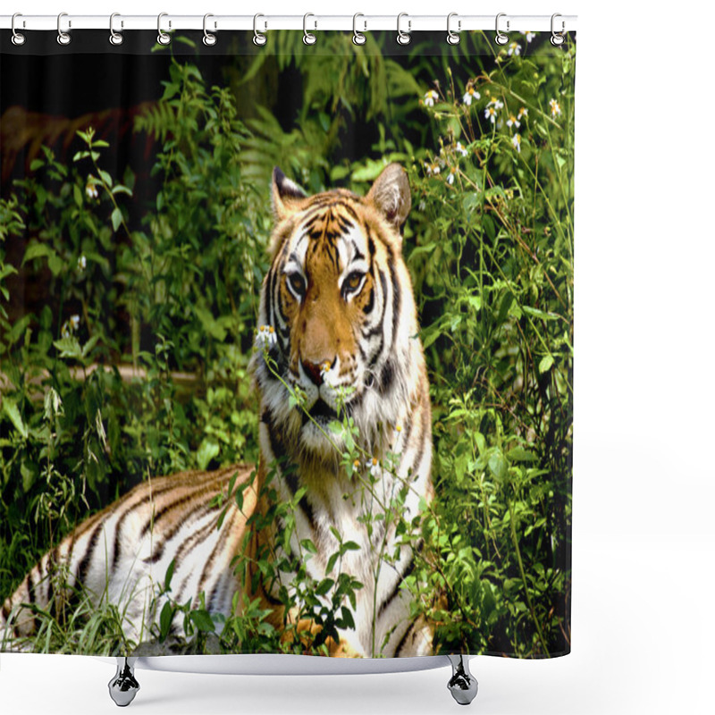 Personality  Bengal Tiger Shower Curtains