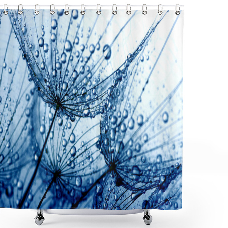 Personality  Dandelion Flower Background Shower Curtains