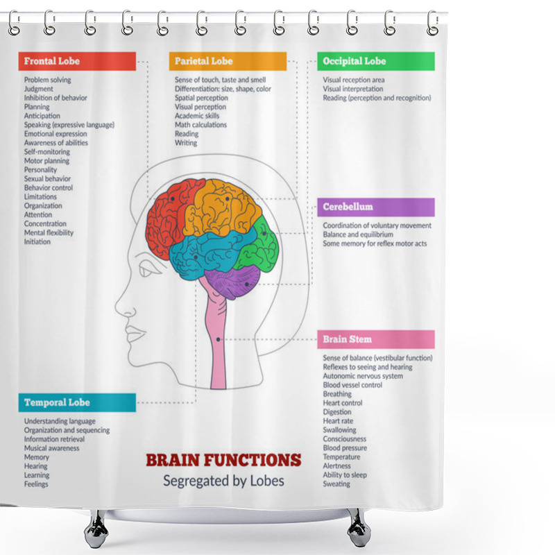 Personality  Human Brain Anatomy And Functions Shower Curtains