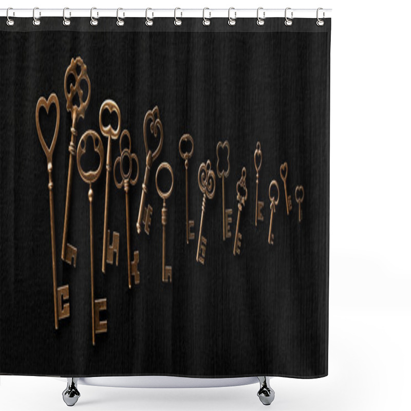 Personality  Row Of Ornate Skeleton Keys. Concept For Finding Multiple Options For Unlocking Opportunities, Finding Solutions, Or Achieving Goals. Shower Curtains