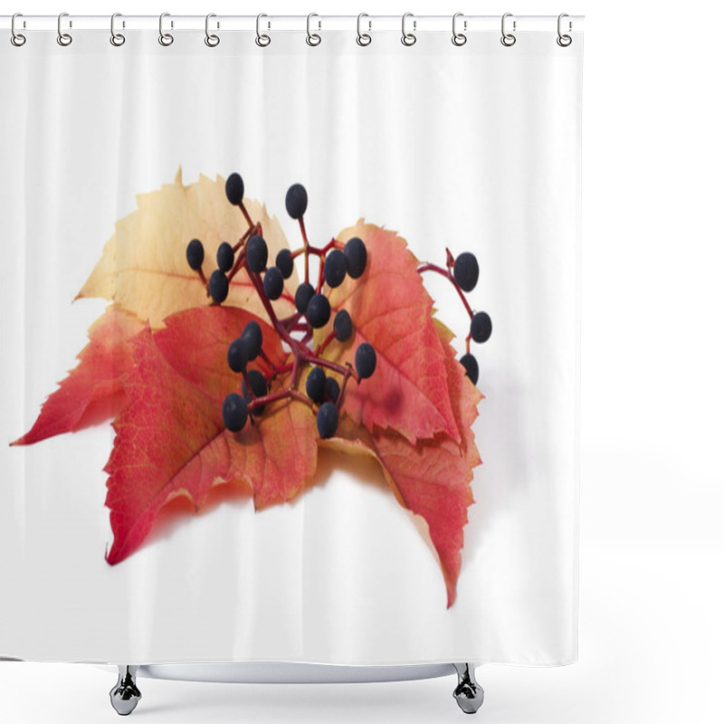 Personality  Parthenocissus Shower Curtains