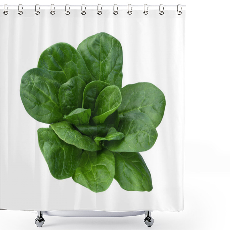 Personality  Spinach Isolated Shower Curtains