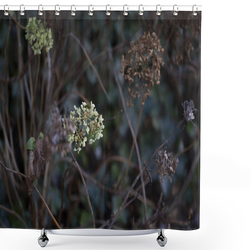 Personality  An Artistic Capture Of A Fading Hydrangea Flower Surrounded By Dry Stems And Leaves, Showcasing The Natural Transition From Life To Decay. The Image Is Ideal For Themes Of Seasonal Change, Nature Shower Curtains