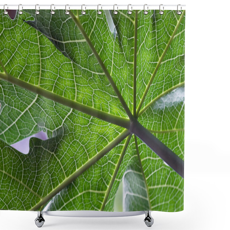 Personality  Papaya Leafs Shower Curtains