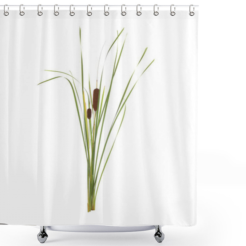 Personality  Beautiful Reeds With Catkins On White Background Shower Curtains