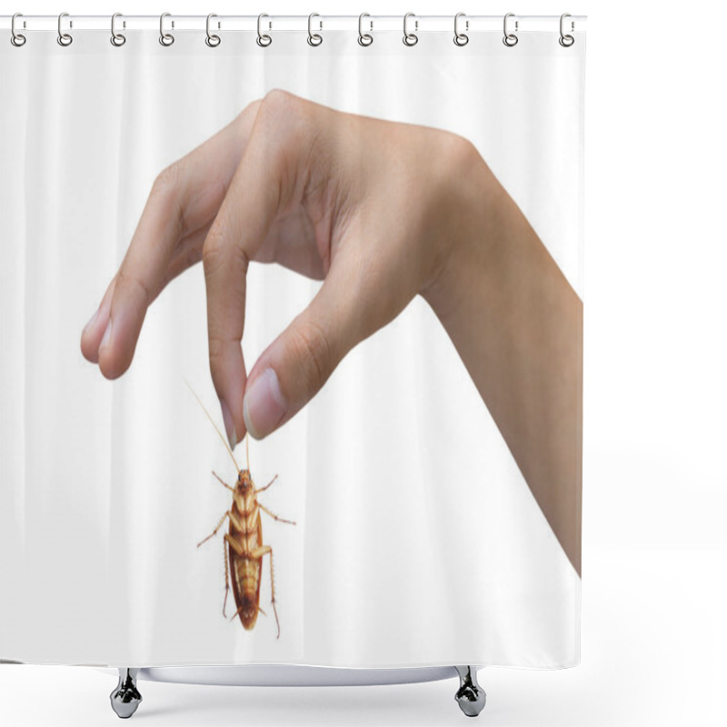 Personality  Hand Holding Brown Cockroach Over White Background Shower Curtains