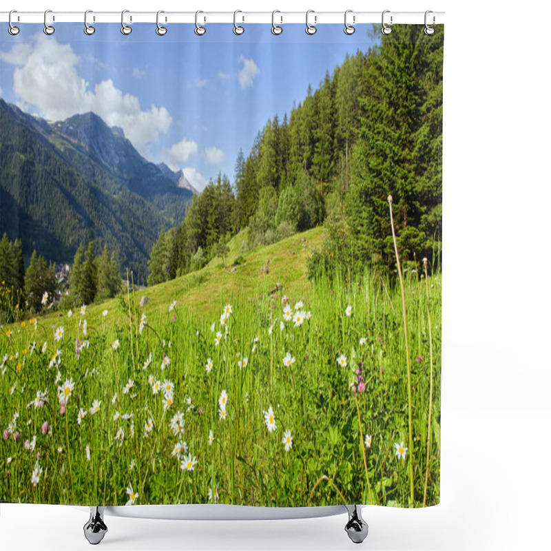 Personality  Alpine Mountains In Summertime Shower Curtains