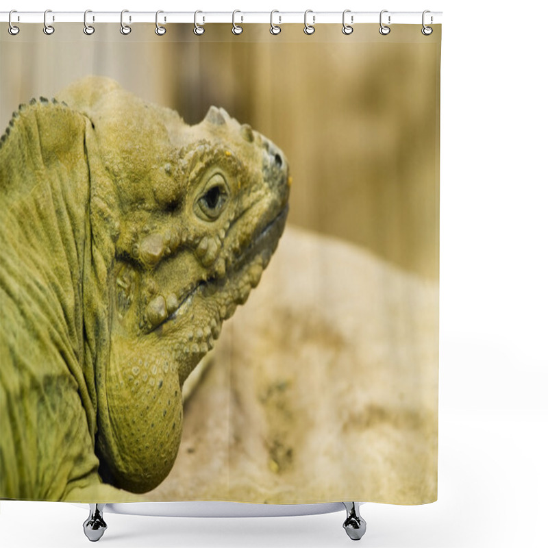 Personality  Green Reptile Head Close Up Detail Shower Curtains