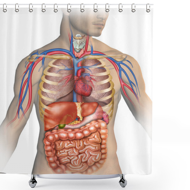 Personality  Human Body Shower Curtains