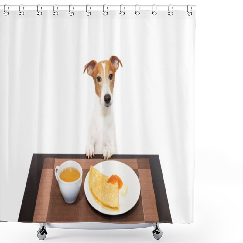 Personality  Jack Russell Terrier Is Eating Pancakes At The Table On Shrovetide Maslenitsa Shower Curtains