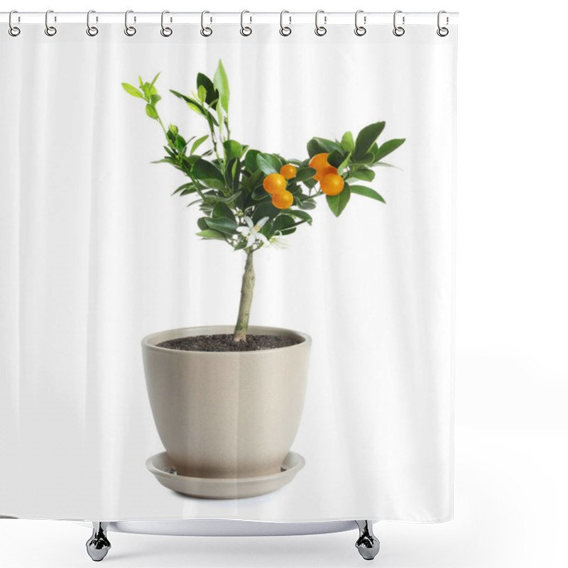 Personality  Bonsai Tree With Flowers And Citrus Fruits In Pot On White Background. Plant For Home Shower Curtains