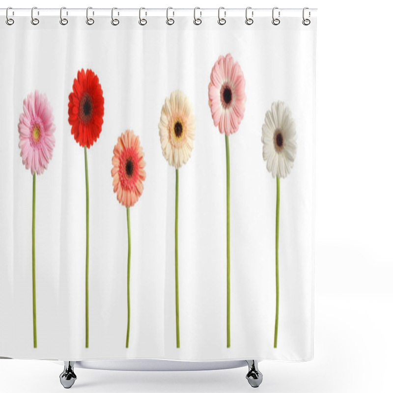 Personality  Set With Beautiful Gerbera Flowers On White Background. Banner Design Shower Curtains