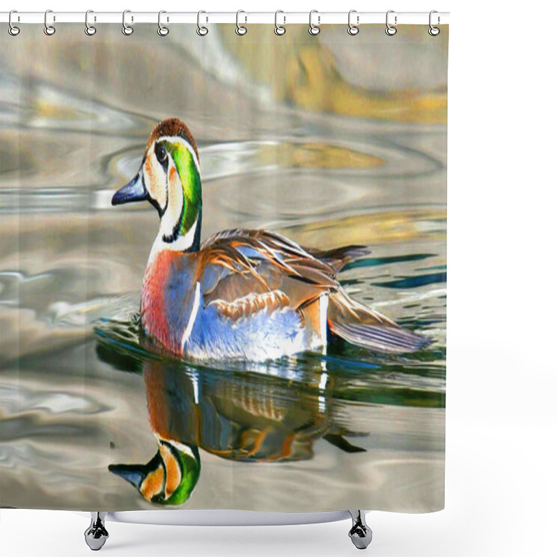 Personality  One Of A Pair Of Rare Baikal Teal Ducks, Also Called The Squawk Ducks, Swims In A Lake At Beihai Park In Beijing, China, 12 January 2018 Shower Curtains